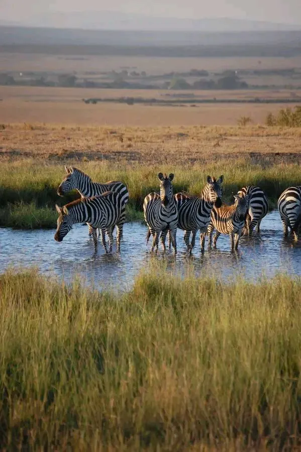 Serengeti, Tanzania