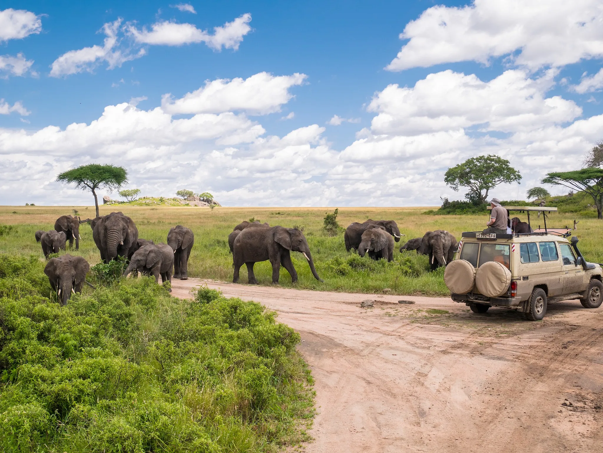 Serengeti, Tanzania