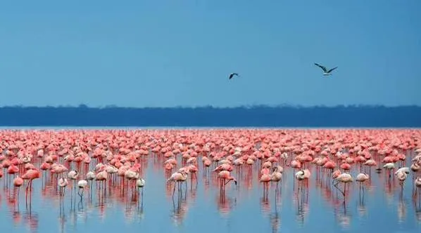 Serengeti, Tanzania