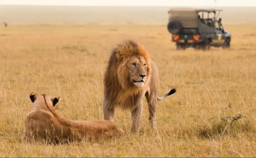 Serengeti, Tanzania